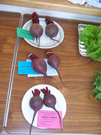 Beetroot