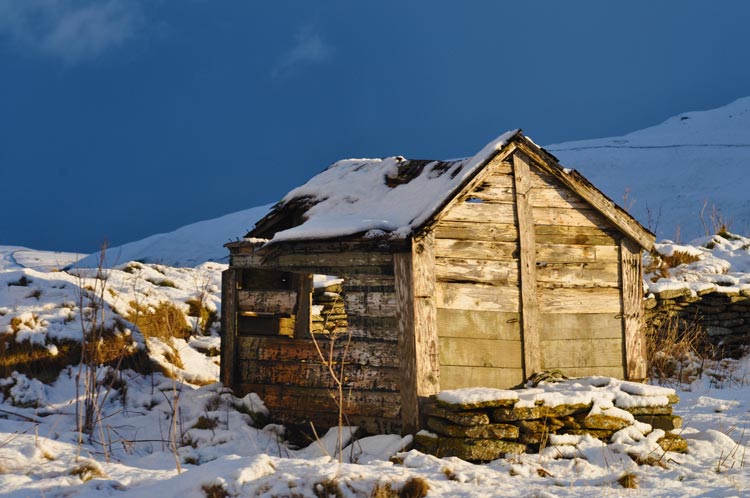 A shed at Saviskaill Beach