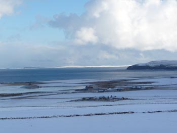 Wester - February 2009