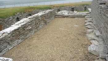 Inside Cubbie Roo's Castle