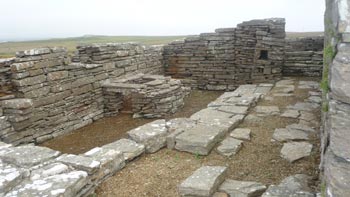 Inside Cubbie Roo's Castle